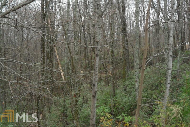 159 Raspberry Ln - Photo 1