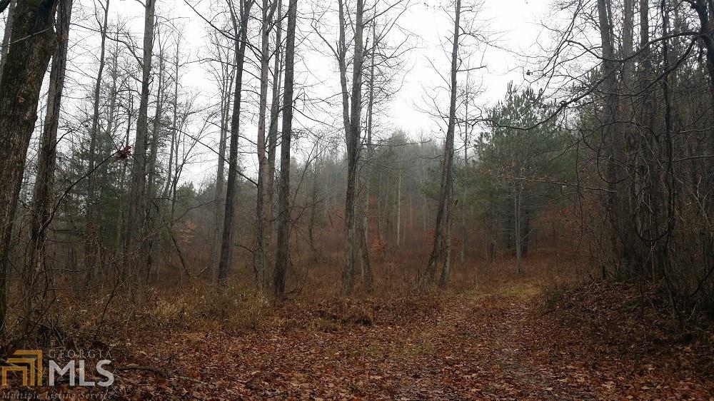 0 Burnt Mountain Rd - Photo 1