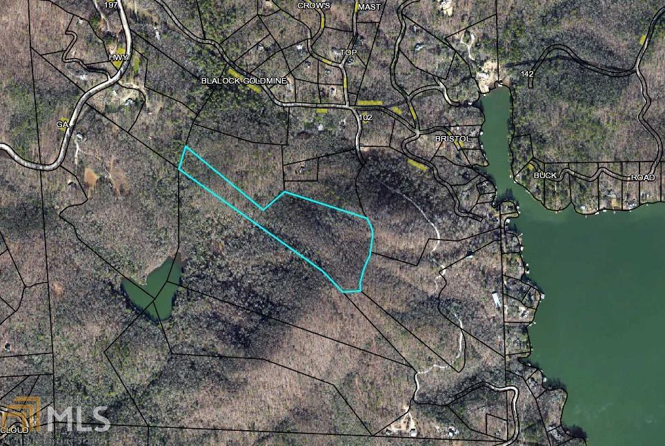0 Blalock Goldmine Rd - Photo 1