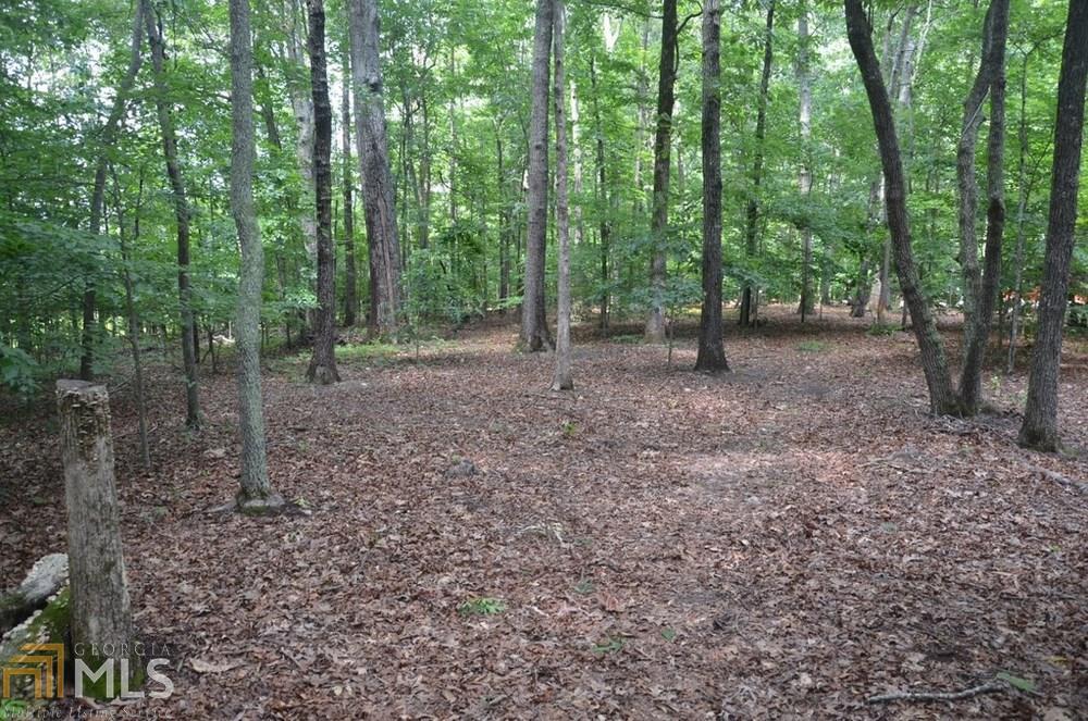 846 Holland Rd - Photo 1