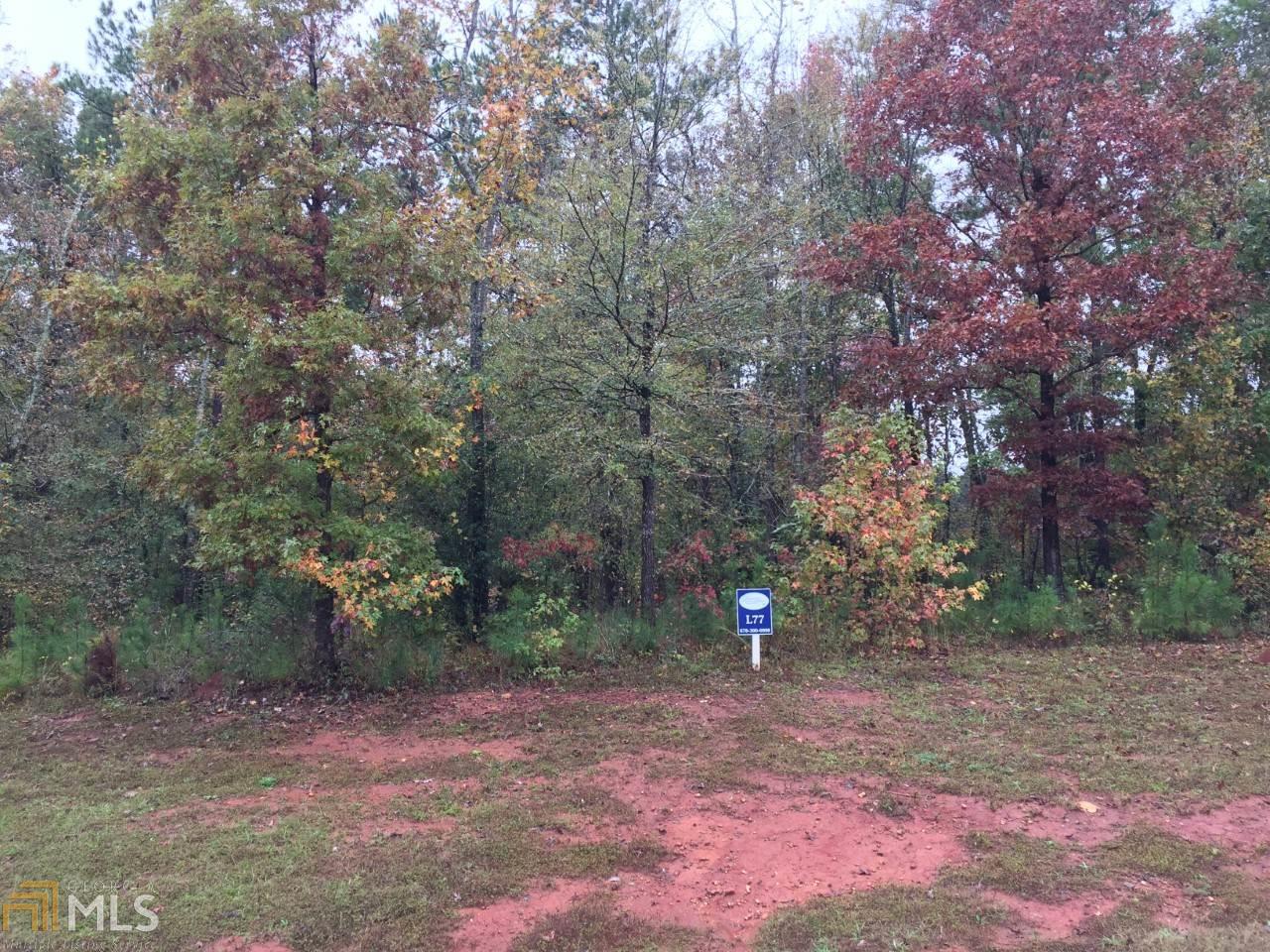 104 Leeland Grove Way - Photo 1