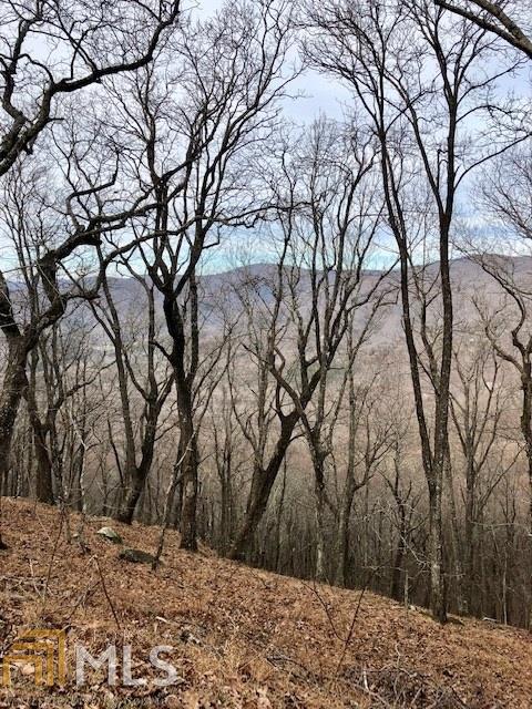 0 High Trail Vista Cir - Photo 1