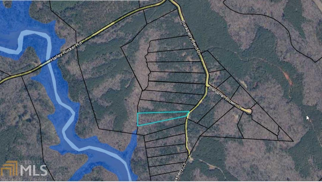 0 Blackberry Bend Dr - Photo 1