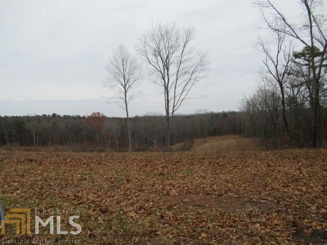 855 Old Hwy 100 - Photo 1