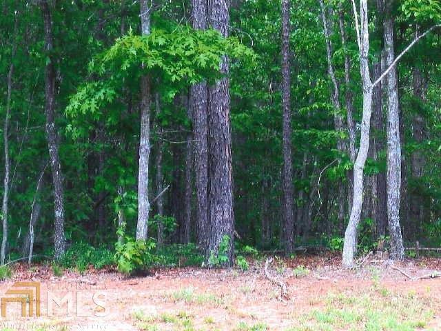 0 Shoals Way - Photo 1