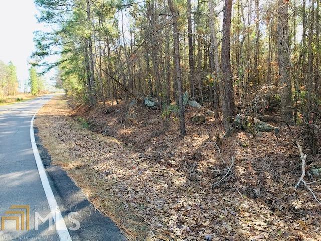 293 Black Springs Rd - Photo 1