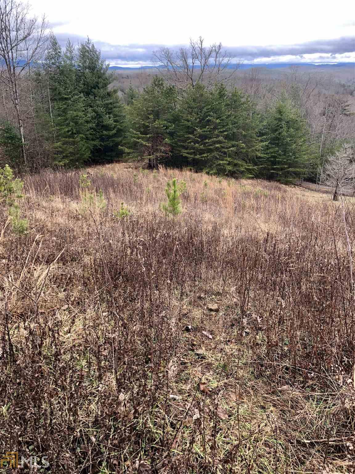 0 Bottom Rd - Photo 1