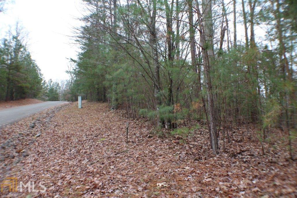 0 Mountain Creek Holw - Photo 1