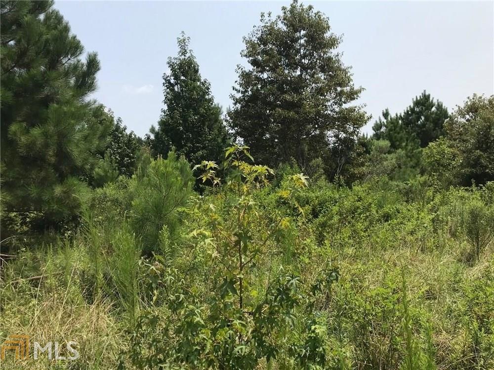 0 Morton Bend Rd - Photo 1