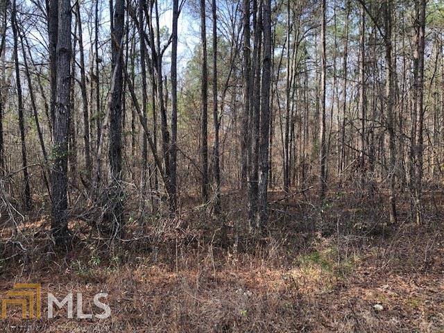 0 White Laurel Ln - Photo 1