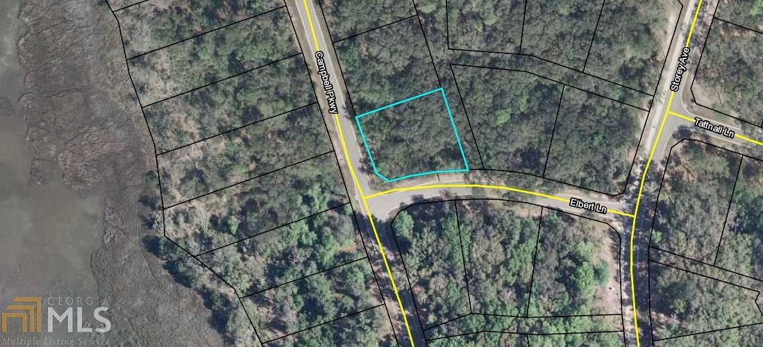 0 Campbell Pkwy - Photo 1