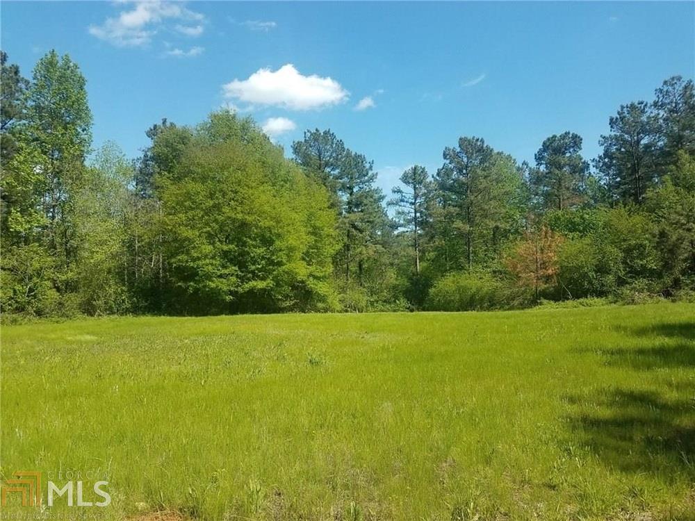 1598 Goldin - Photo 1