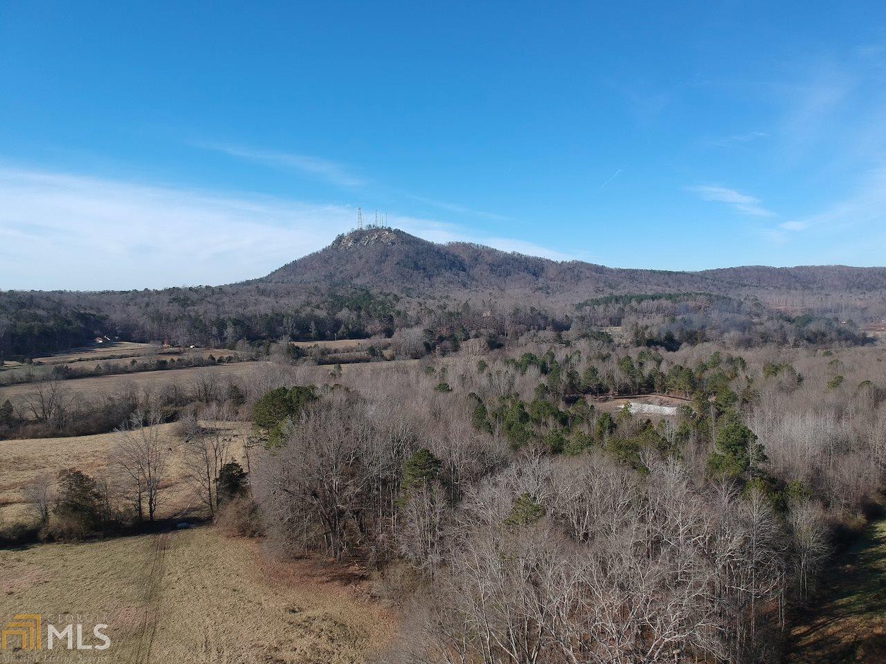 0 Toccoa By-Pass / Hwy 17 - Photo 1