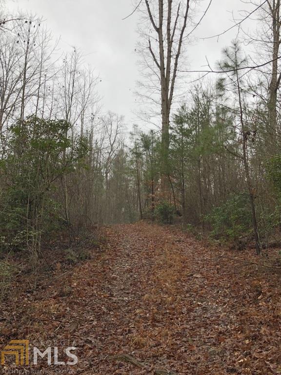 0 Odum Chumbley Rd - Photo 1