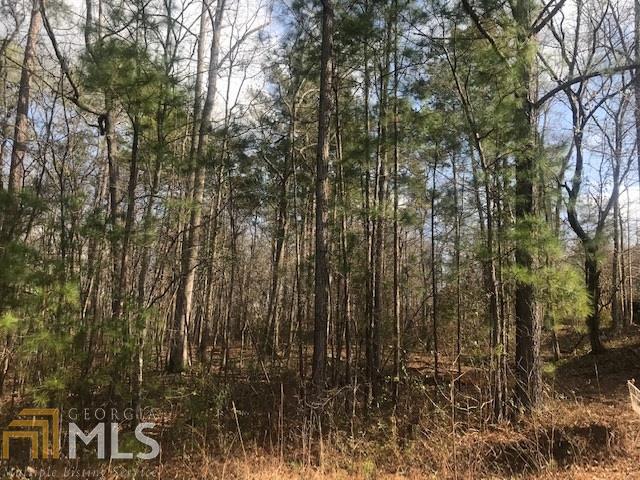 181 Bear Creek - Photo 1