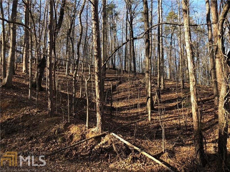 1879 Tapawingo Dr - Photo 1