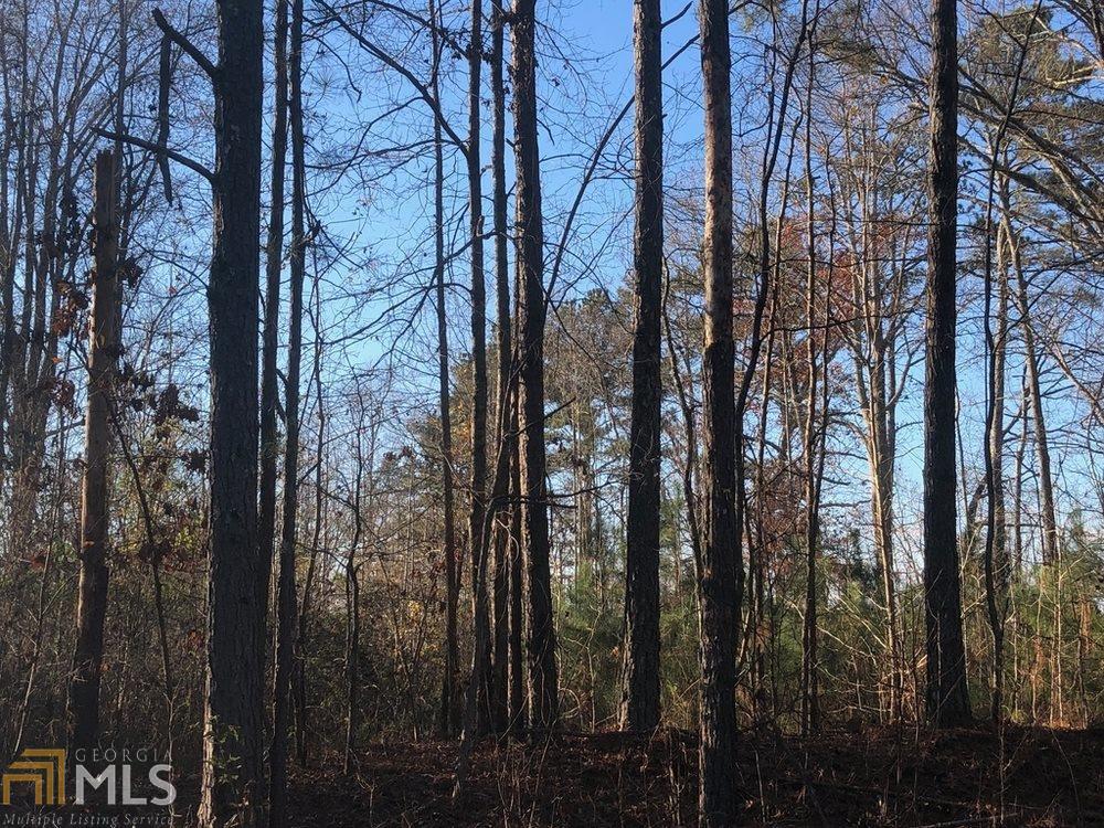 0 Bremen Mount Zion Rd - Photo 1