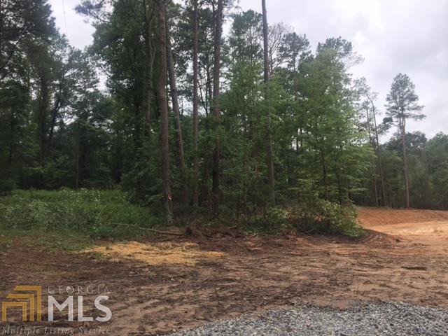 2920 Bonds Lake Rd - Photo 1