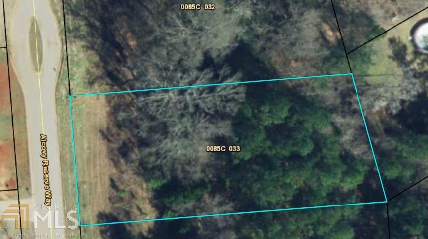 270 Alcovy Reserve Way - Photo 1