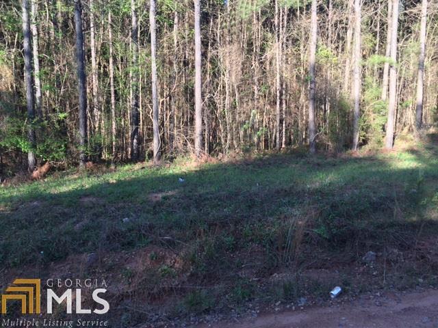 0 Mt Pilgrim Rd - Photo 1