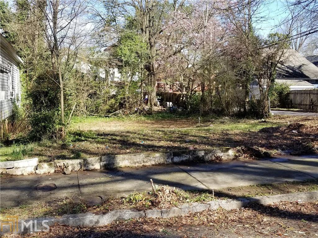 1003 Palmetto Ave - Photo 1