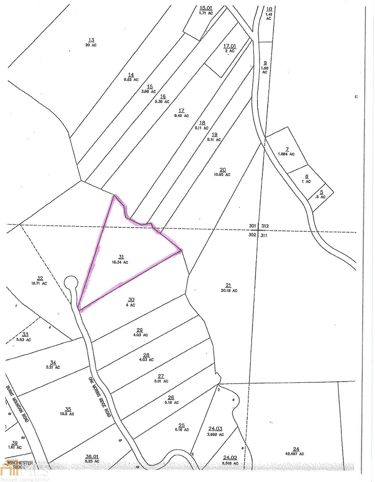 0 Oak Morris Ridge - Photo 1