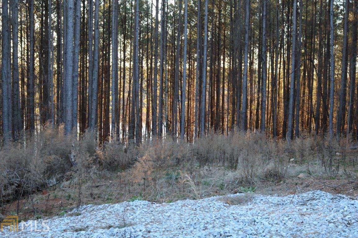 0 Brush Creek Rd - Photo 1