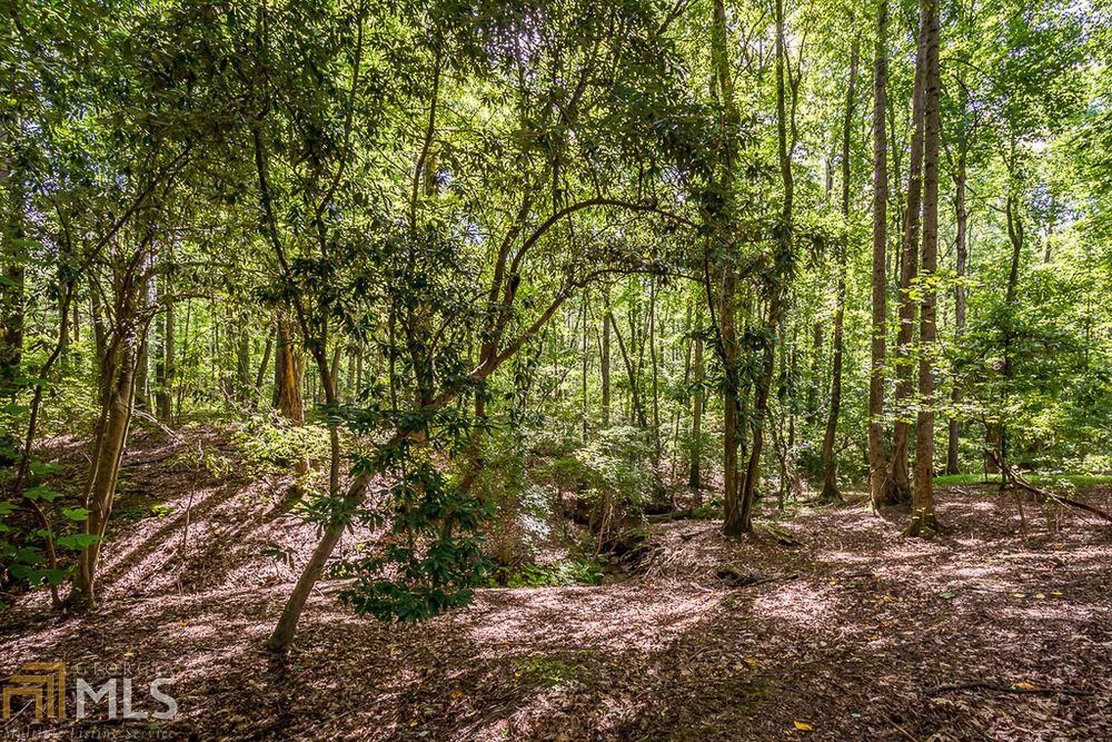 2385 Camp Mitchell Rd - Photo 1