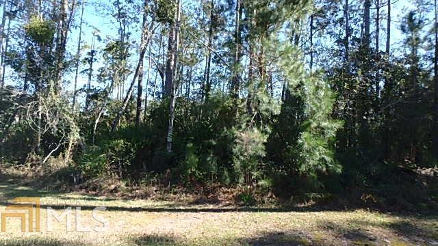 0 Tidal Marsh Way - Photo 1