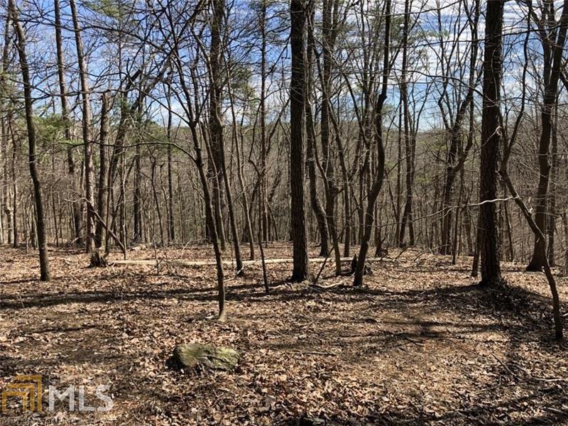210 Little Coyote Loop - Photo 1