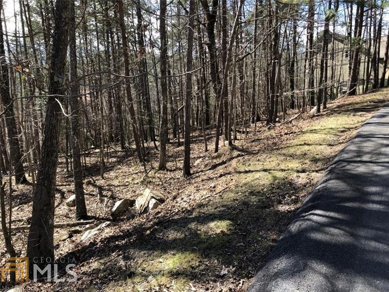 121 Blue Fox Loop - Photo 1