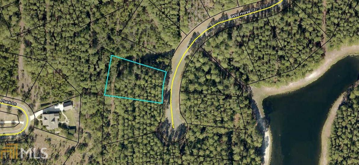 0 Wild Horse Ct - Photo 1