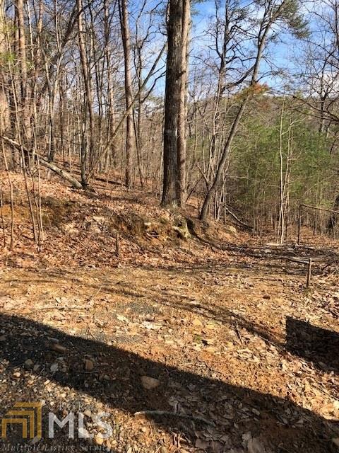 0 Monument Falls Rd - Photo 1