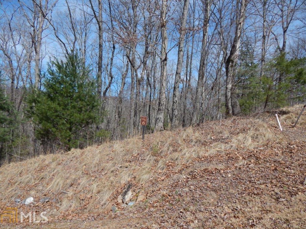 0 Wolfpen Gap - Photo 1