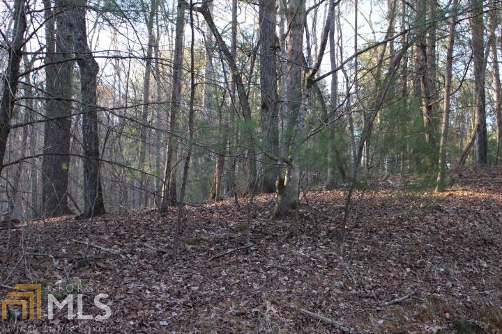 0 Morgan Way - Photo 1