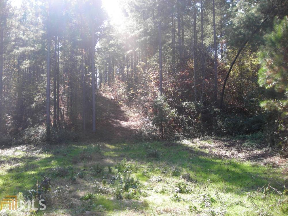 0 Off Loop Rd - Photo 1