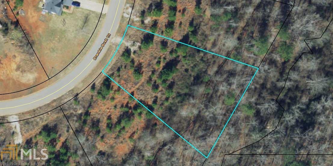 275 Bramble Bush Trl - Photo 1
