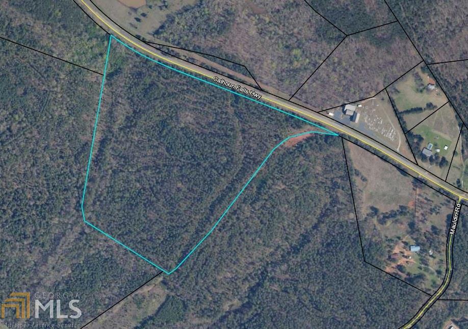 0 Calhoun Falls Hwy - Photo 1