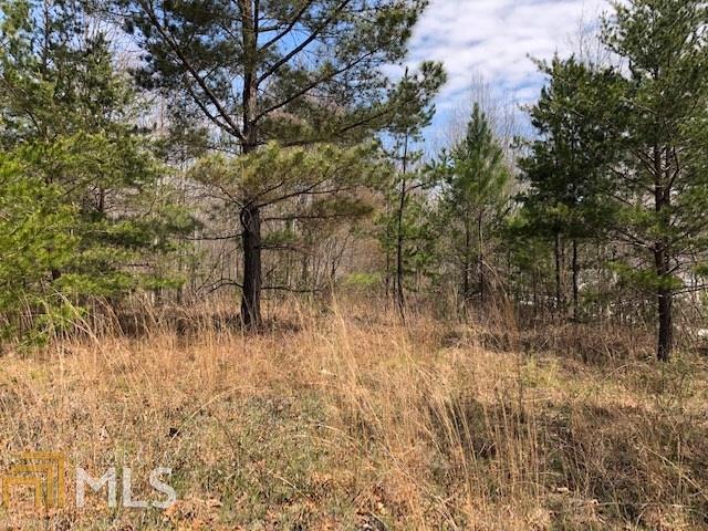 0 Currahee Plantation Rd - Photo 1