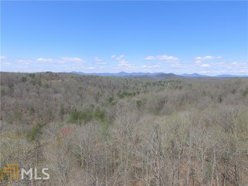 81 Tall Oak - Photo 1