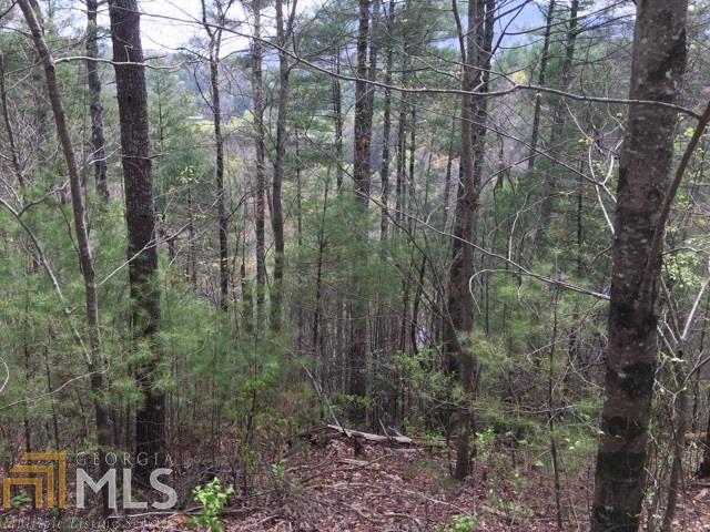 0 Hidden Lake - Photo 1