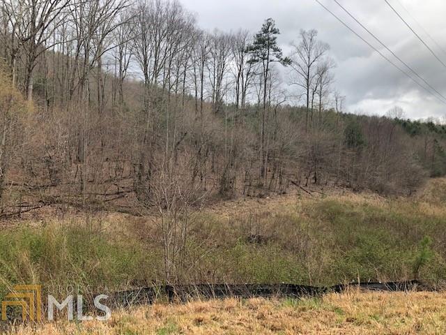 Lot 223 Rushing Water Dr - Photo 1