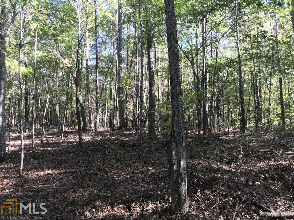 0 Harmony Grove Church Rd - Photo 1 0 Harmony Grove Church Rd - Photo 1
