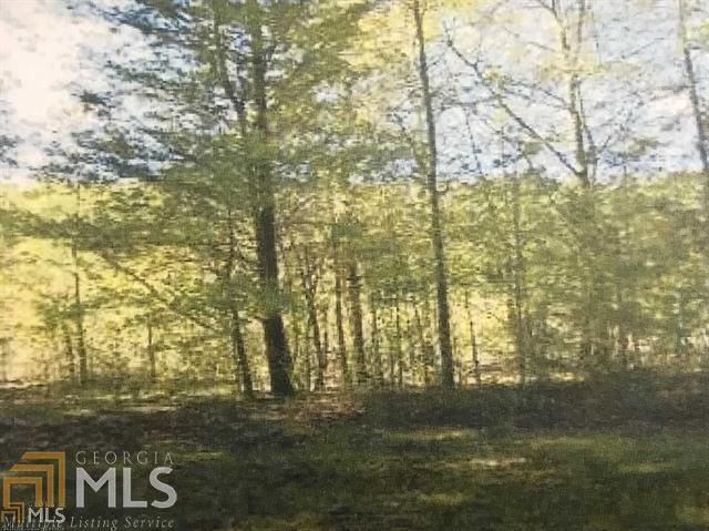 0 Bio Ln - Photo 1
