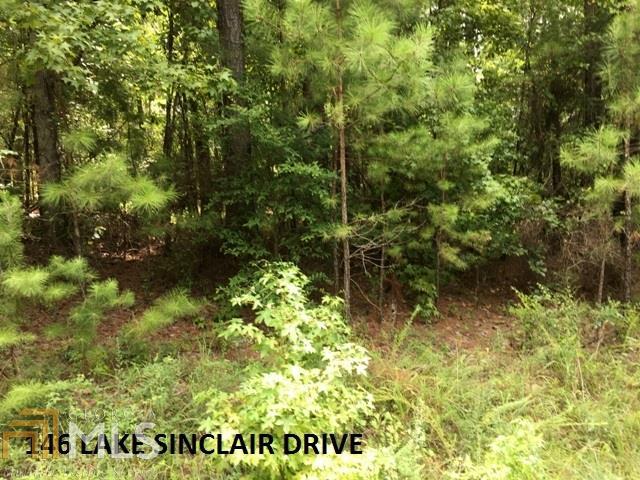0 Lake Sinclair Dr - Photo 1