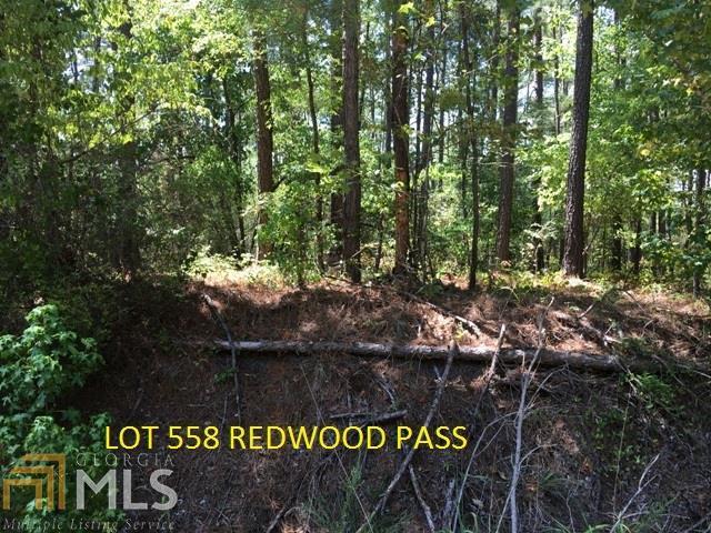 0 Redwood Pass - Photo 1