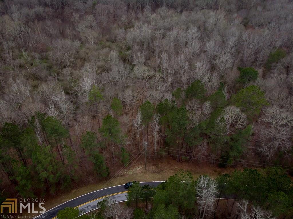 160 White Laurel Ln - Photo 1