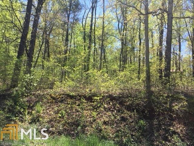 0 River Ridge Rd - Photo 1