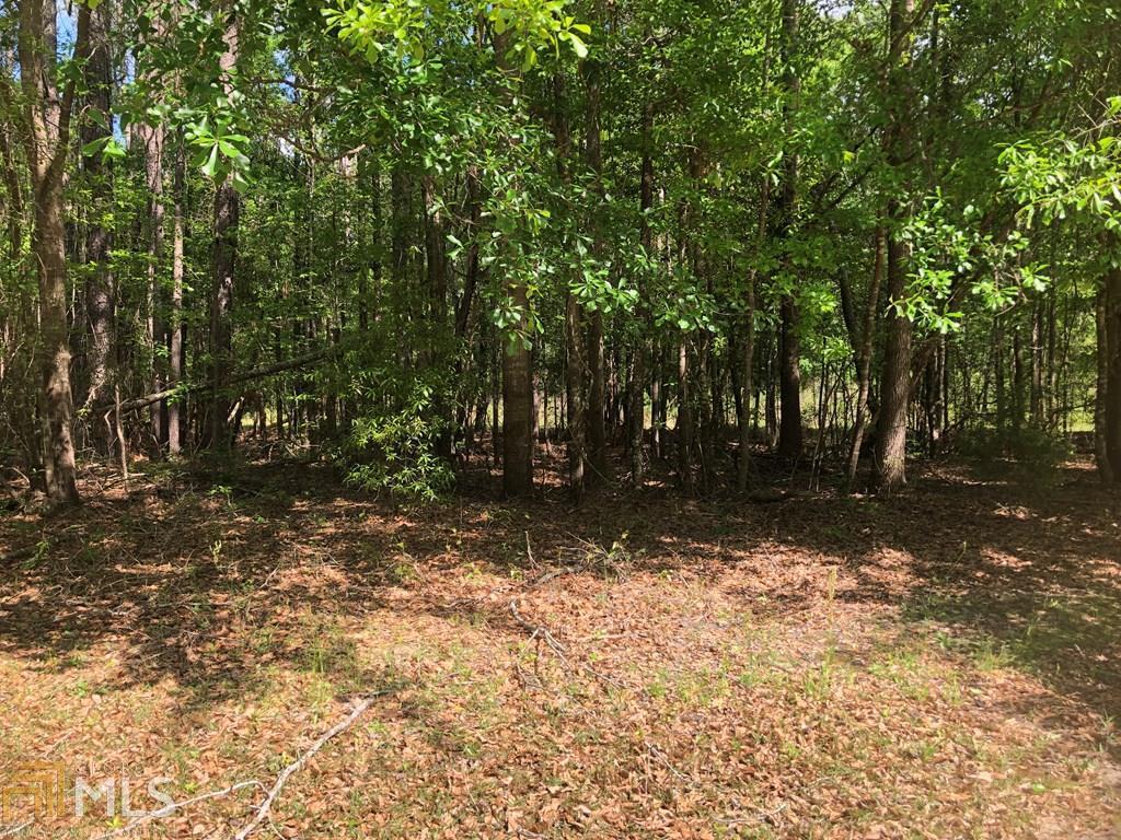 0 Orchard Lake - Photo 1