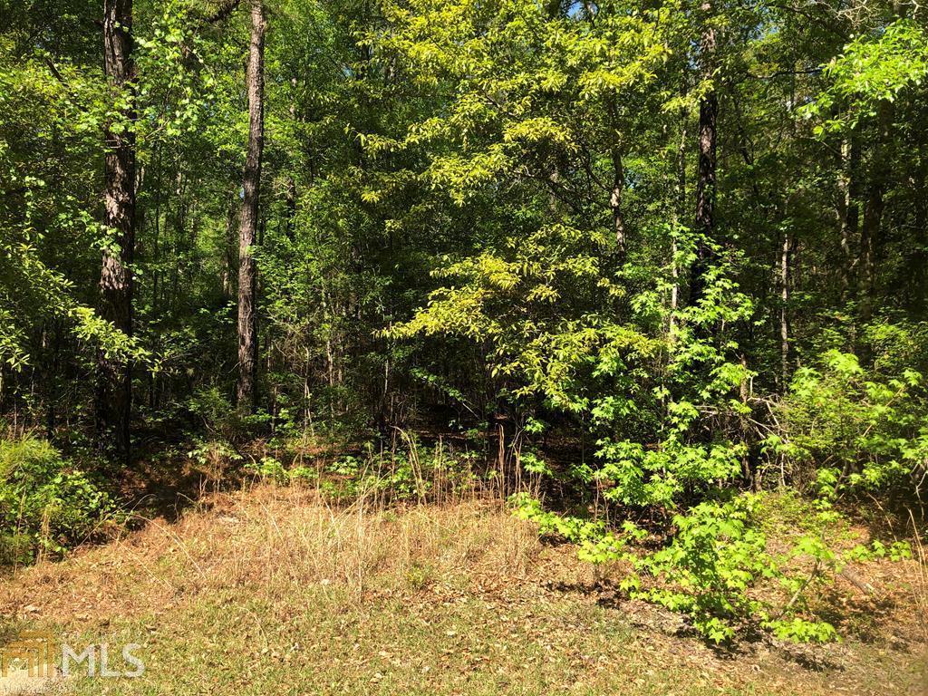 0 Orchard Lake - Photo 1